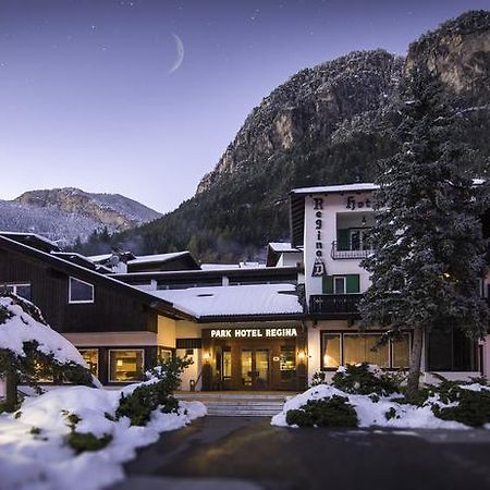 Hotel Regina Delle Dolomiti Panchià Esterno foto