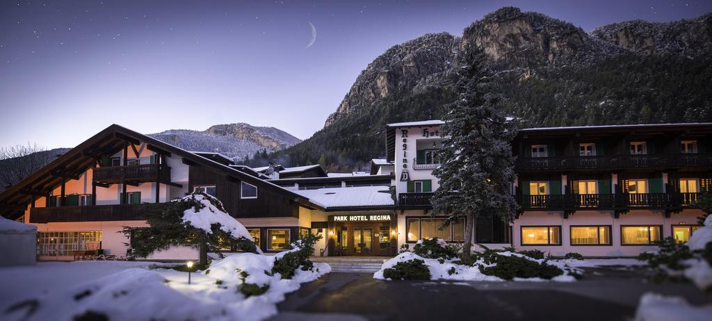 Hotel Regina Delle Dolomiti Panchià Esterno foto