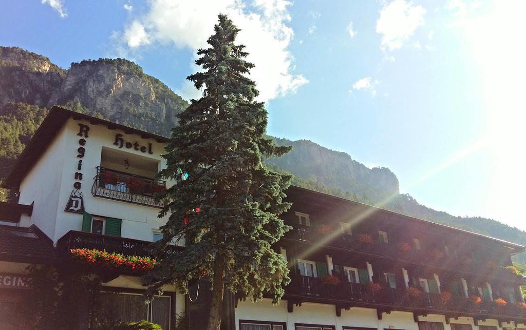Hotel Regina Delle Dolomiti Panchià Esterno foto